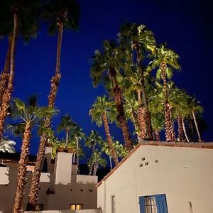 Meet your Posher, Doris